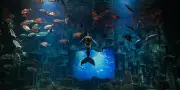 Sur scène, le grand retour du mythe de la sirène