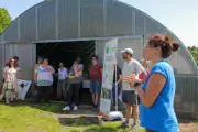 Étal 40 des Landes recrute de futurs maraîchers dans trois sites