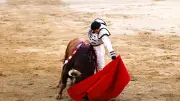 Talavante décroche sa 7e grande porte à Madrid pour l'ouverture de la San Isidro