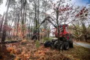 Tempête Nils : 200 000 m³ de bois à exploiter en Lot-et-Garonne