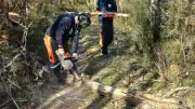 Tempêtes : l'équipe verte de Grand Orb sécurise les sentiers endommagés