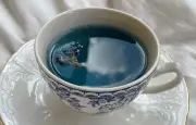 Thé bleu Oolong : bienfaits et préparation d'un allié bien-être