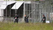 Tigre abattu par la police allemande après son évasion d'un enclos privé