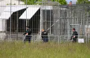 Tigre évadé abattu par la police à Leipzig après une attaque