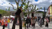 Total Festum : un charivari haut en couleur à Saint-Ambroix