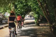 Tour de l'île à vélo : une boucle de 23 km entre océan et marais