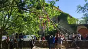 Tradition de l'arbre de mai : convivialité et patrimoine à Servas