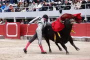 Tristan Barroso confirme son alternative à Las Ventas ce vendredi