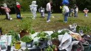 Troc plantes à Saint-Porchaire : une troisième édition réussie malgré le froid