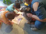 Un chien médiateur aide les enfants à lire à la bibliothèque de Serres-Castet