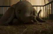 Un éléphant veille un corps humain : l'histoire émouvante qui a piégé X