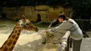 Un zoo français sacré deuxième zoo le plus éthique du monde par National Geographic