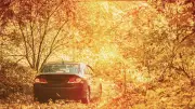 Une nonagénaire oubliée par son mari dans une voiture pendant deux jours