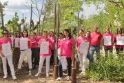 Une Rose, une caresse : journée solidaire pour les malades du cancer à Mouans-Sartoux
