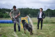 Unleaz : la plateforme qui loue des terrains pour chiens