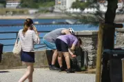 Vagues de chaleur en France : retour sur les épisodes marquants