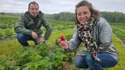 Val-de-Marne : la cueillette de Champlain rouvre enfin à La Queue-en-Brie