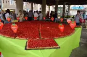 Vergt : 24e Fête de la fraise et des fleurs le 17 mai