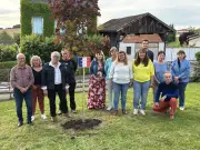Verteuil : le maire Jean-Claude Blay renoue avec la tradition du « mai »