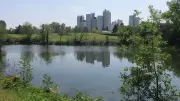 Viol aux Ulis : le suspect avait déjà agressé une adolescente dans le même parc