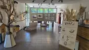 Vivant-e-s : une expo ludique sur la biodiversité à Biosphera