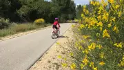 Vélo-bus : un transport écolo pour écoliers et habitants dans l'Uzège