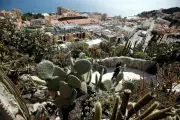Week-end festif au Jardin exotique de Monaco : animations pour familles