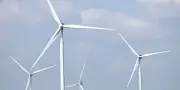 Xavier Bertrand maintient son soutien à une fédération anti-éoliennes malgré la justice