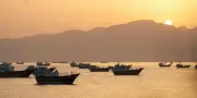 Xi Jinping appelle à un arrêt total de la guerre au Moyen-Orient