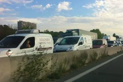 Accident sur l'A8 : bouchons géants entre Antibes et Nice ce lundi