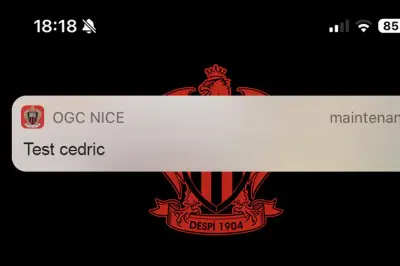 Bug du Crédit Agricole : le « Test Cédric » devient viral et inspire les marques