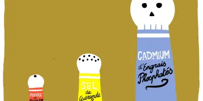 Cadmium : un nouvel enjeu de santé publique à comprendre
