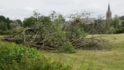 Canicule : 40°C dans le Sud, orages et averses balayent la France