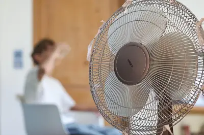 Canicule : des locataires lancent une pétition « Pas de volets, pas de loyer »