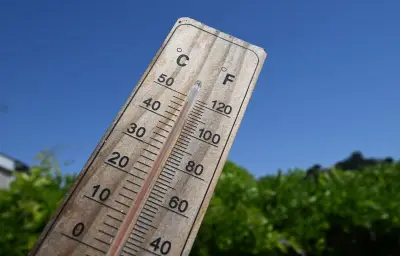 Canicule en France : 49 départements en vigilance rouge lundi, jusqu'à 42°C