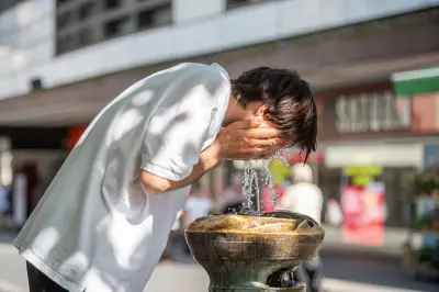 Canicule : la chaleur recule en France mais frappe l'Est de l'Europe