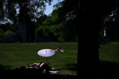 Canicule, nucléaire iranien, affaire Lyhanna : l'actu du week-end