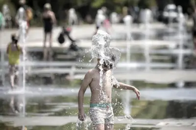 Canicule sur la Côte d'Azur : les urgences maîtrisent l'afflux