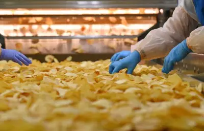 Canicule : une usine de chips Brets contrainte à l'arrêt dans le Morbihan