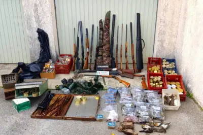 Chasseur à la glu condamné pour braconnage de 600 grives dans le Var