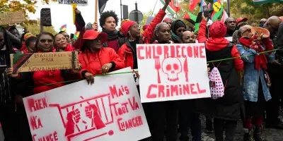 Chlordécone : 500 parties civiles se pourvoient en cassation contre le non-lieu