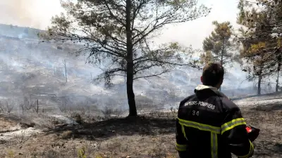 Démonstration choc : un mégot enflamme une forêt en moins d'une minute