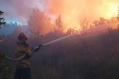 Double incendie dans l'arrière-pays grassois : deux feux maîtrisés par les pompiers
