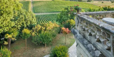 Du Médoc au Sauternais : des jardins d'exception au milieu des vignes