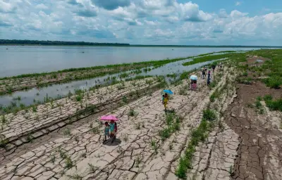 El Niño 2026 : 80% de chances d'un épisode modéré à fort selon l'OMM