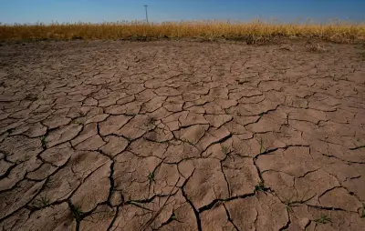 El Niño : 80% de chances pour 2026, l'OMM alerte sur les conséquences