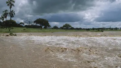 El Niño probable à 80% cet été : l'ONU alerte sur des événements météo extrêmes