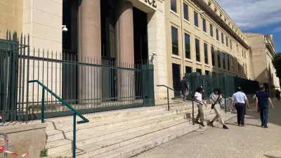 Escroquerie aux chats : une femme condamnée pour vol à un octogénaire