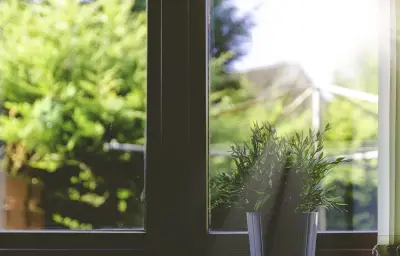 Films anti-chaleur : jusqu'à 5°C de moins pendant la canicule