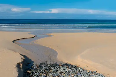 France : trois nouveaux sanctuaires marins de la Bretagne à la Guadeloupe